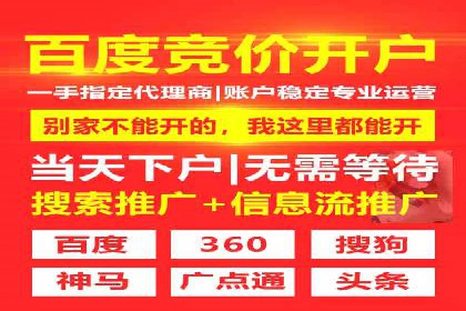 成功SEM投放案例分享