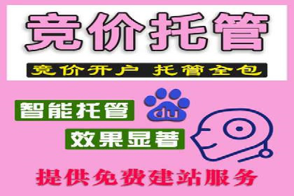 sem代运营公司案例解析：如何制定有效的广告策略